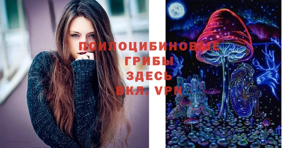 МДПВ Алексин