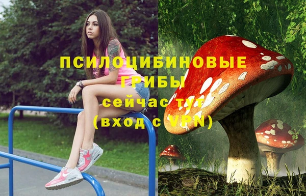 круглые Алзамай