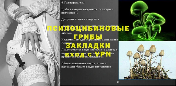 стафф Семикаракорск